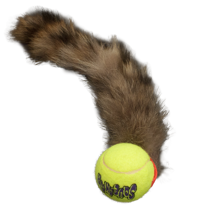 Bouncy Tail Ball — TugAwayCuwin