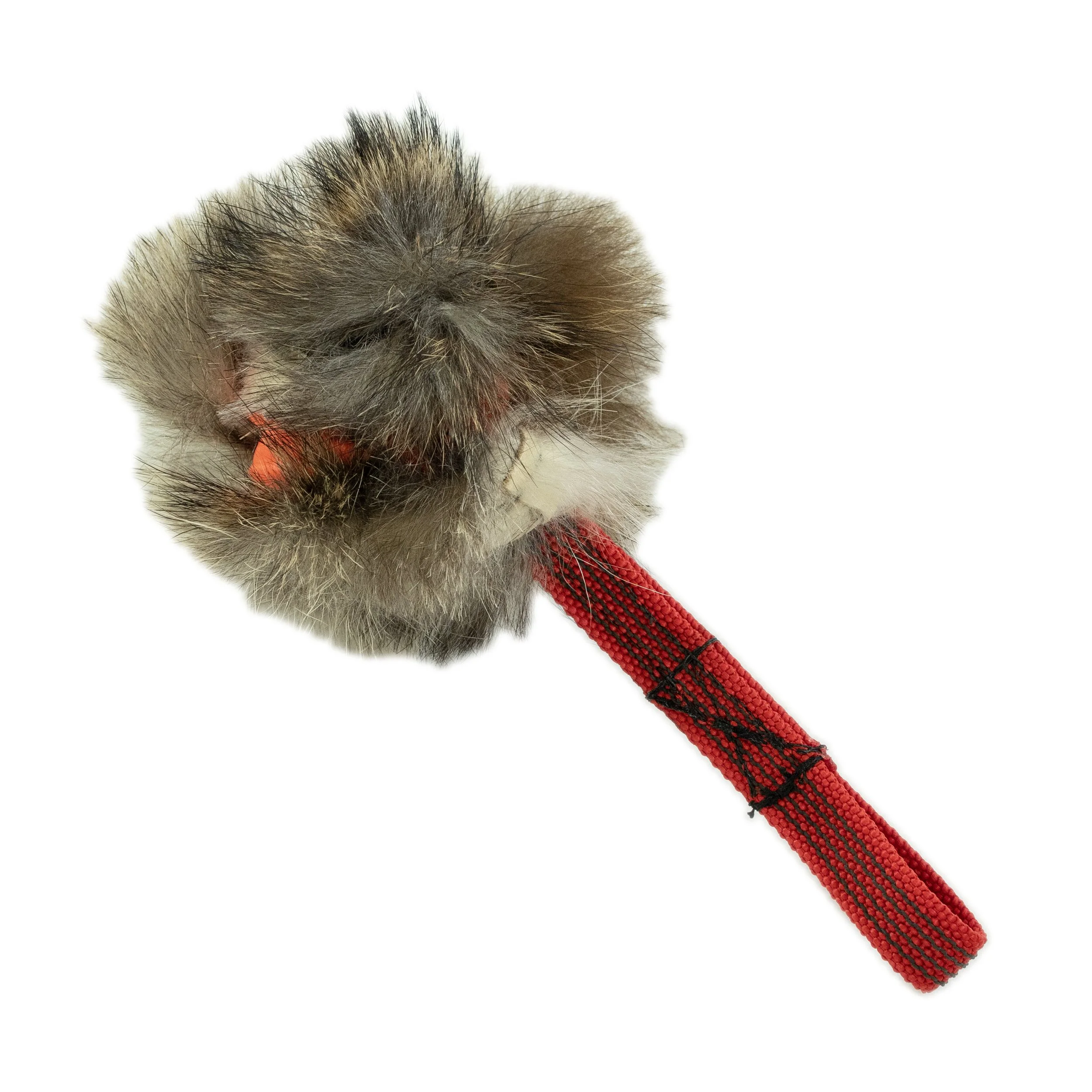 Raccoon Pocket Rocket.jpg