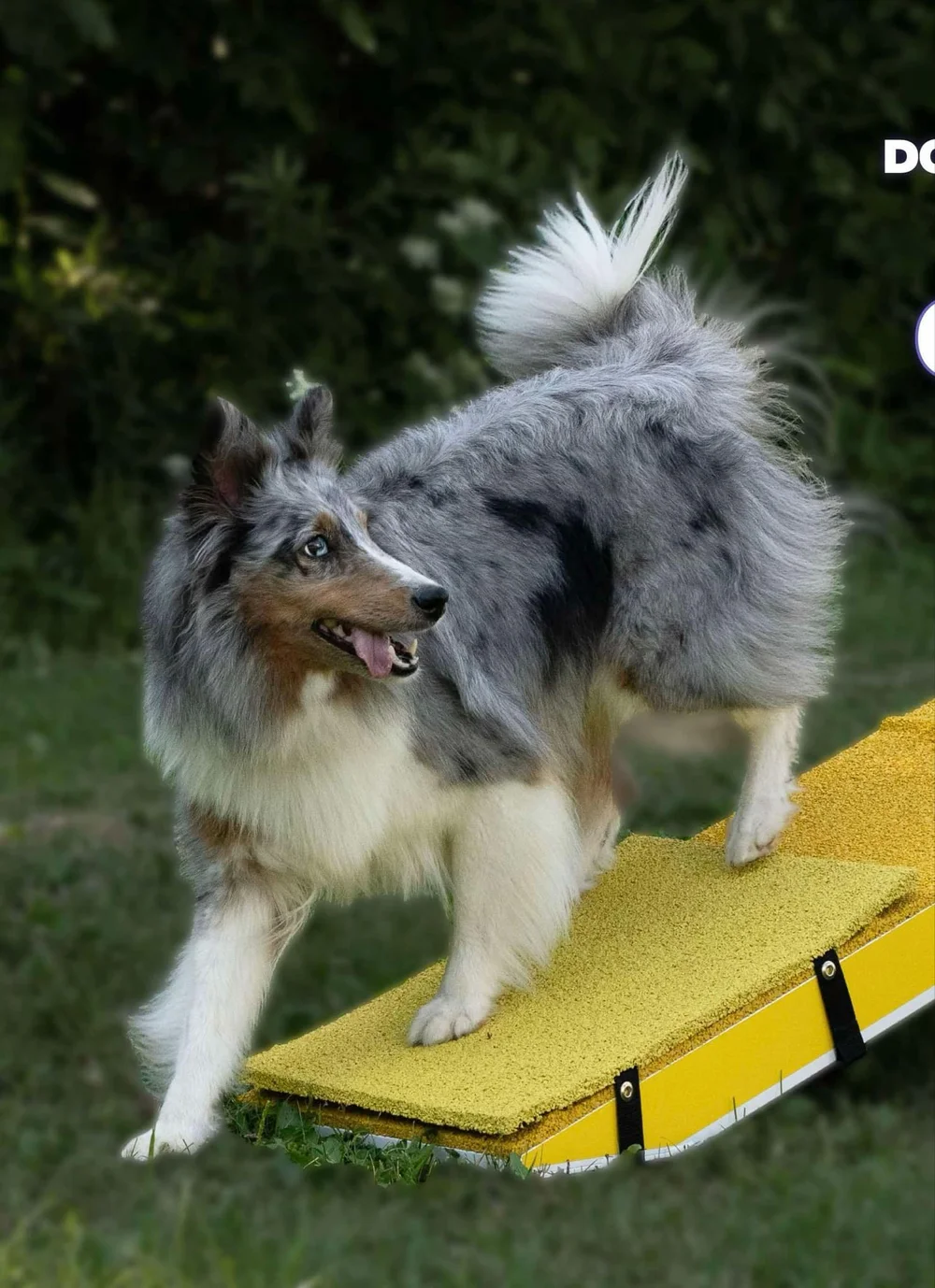 Dogwalk Target Mat — TugAwayCuwin