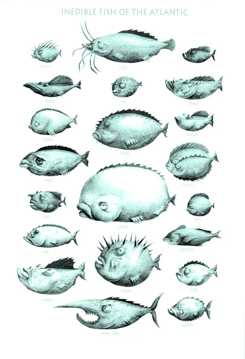 Inedible Fish of the Atlantic