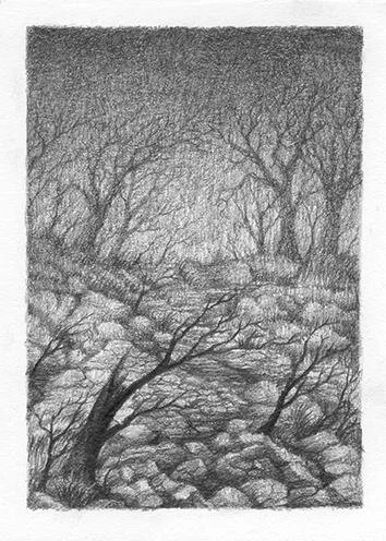 The Creek