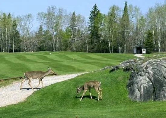 Pinawa Golf Course