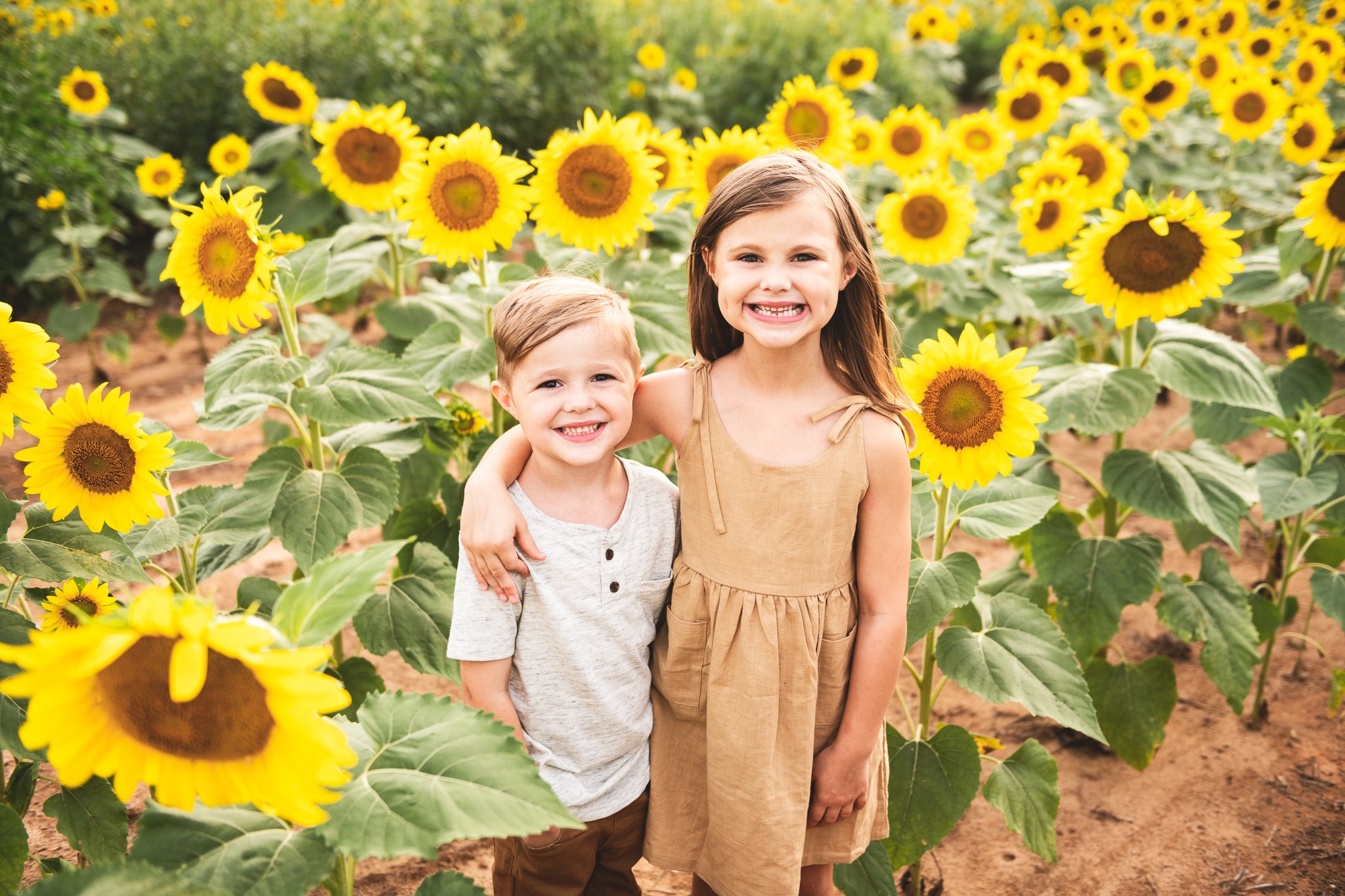 2022_SunflowerMinis_RobertsonFamily_Online-15.jpg