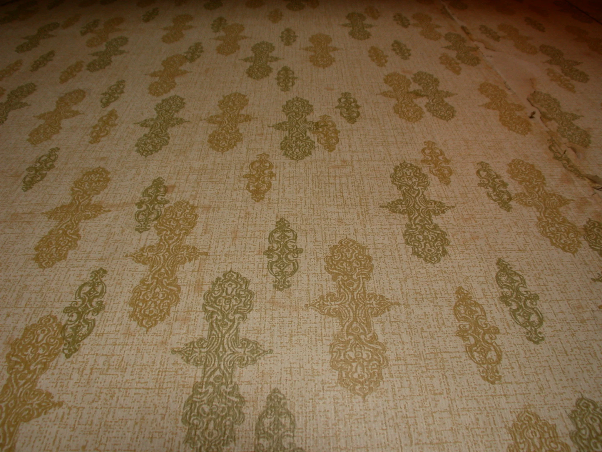 DSCN0486.jpg