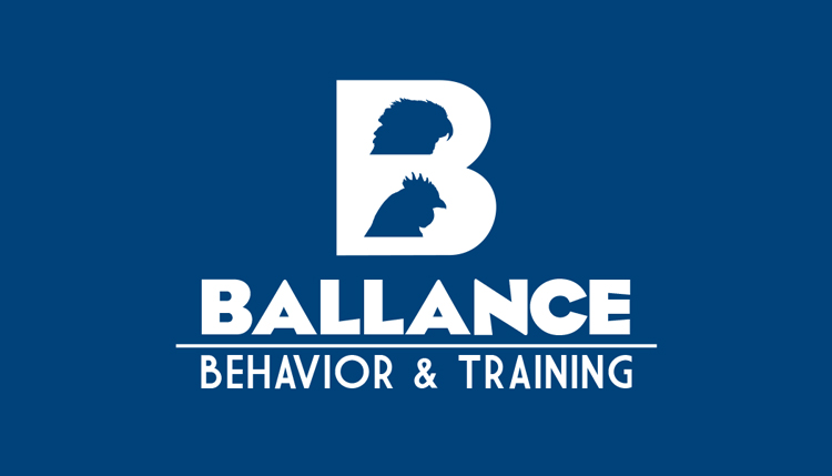 Ballance Behavior & Training: Logo Design