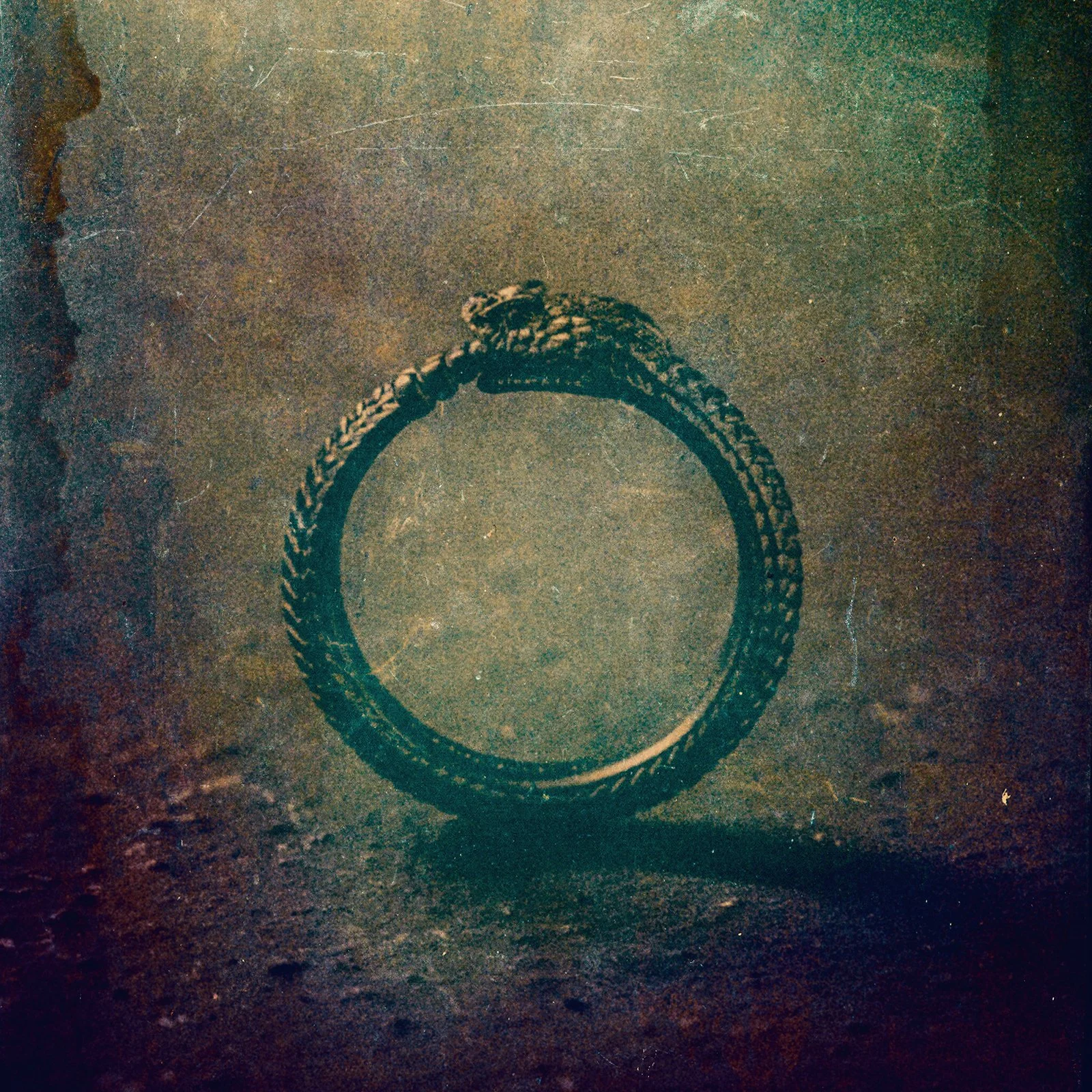 "Purpose" - Sean Mundy