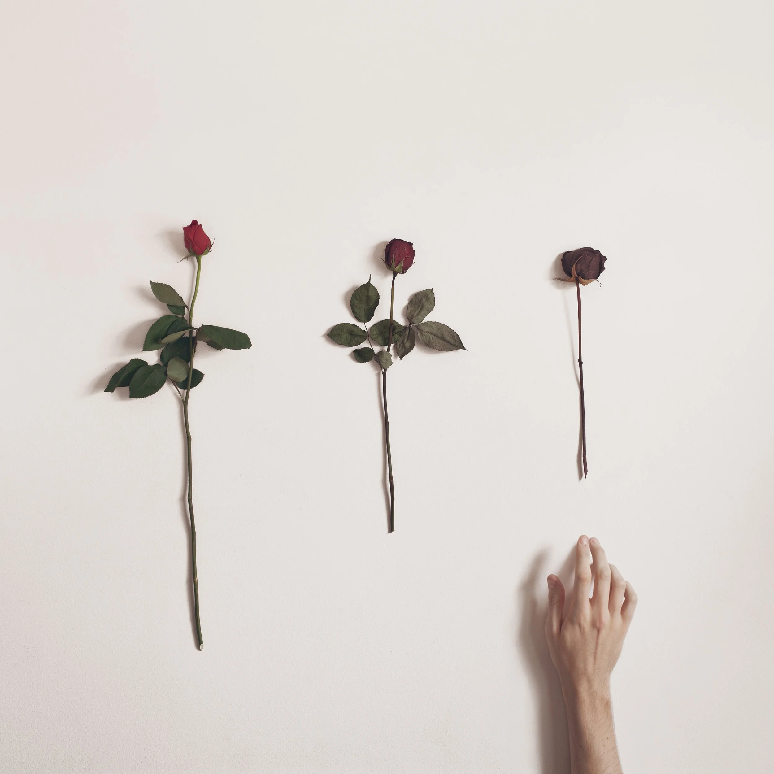 "Decay" - Sean Mundy 