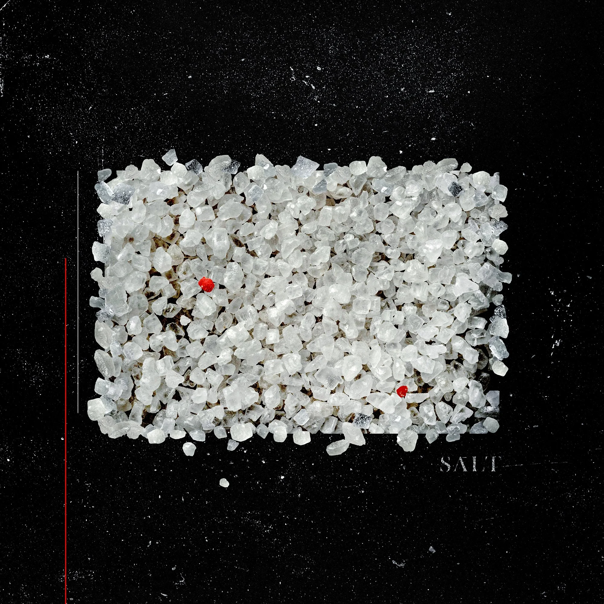 "Salt - Sean Mundy