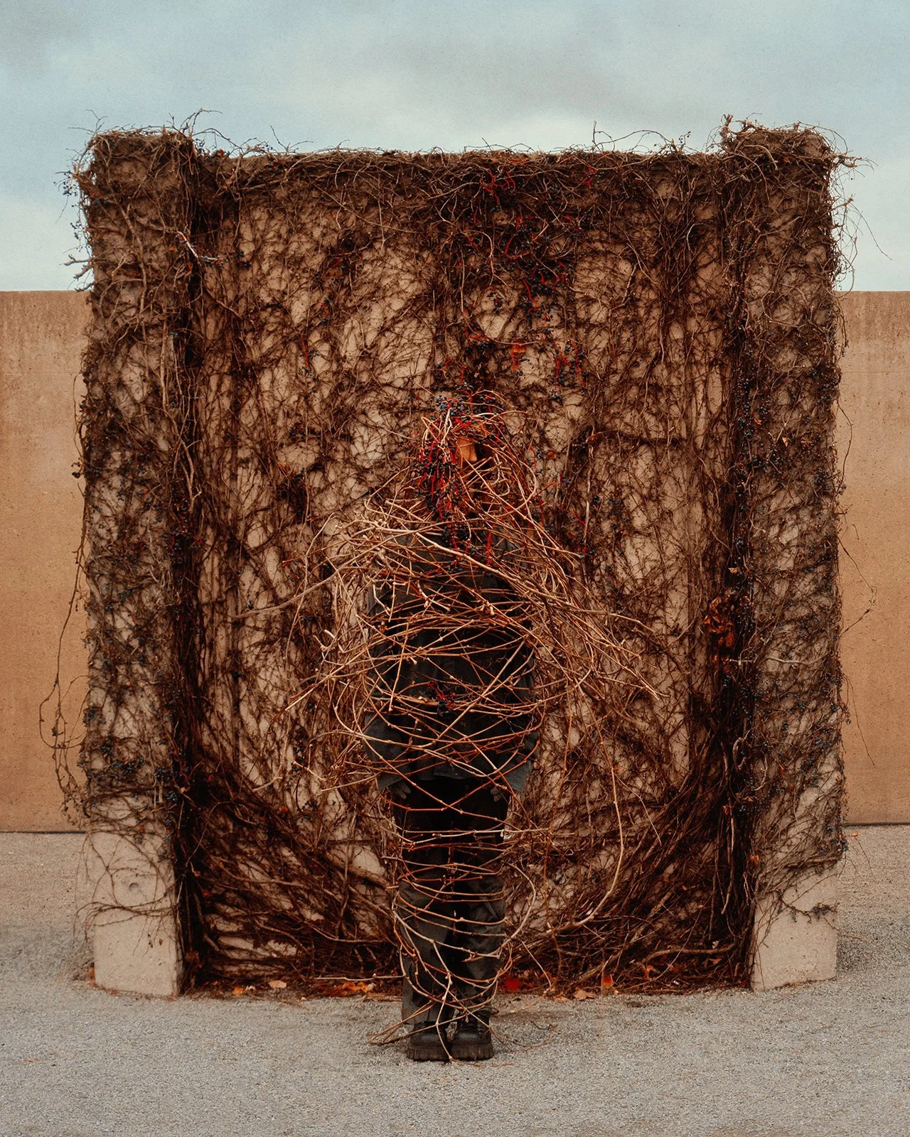 Blending in - web.jpg