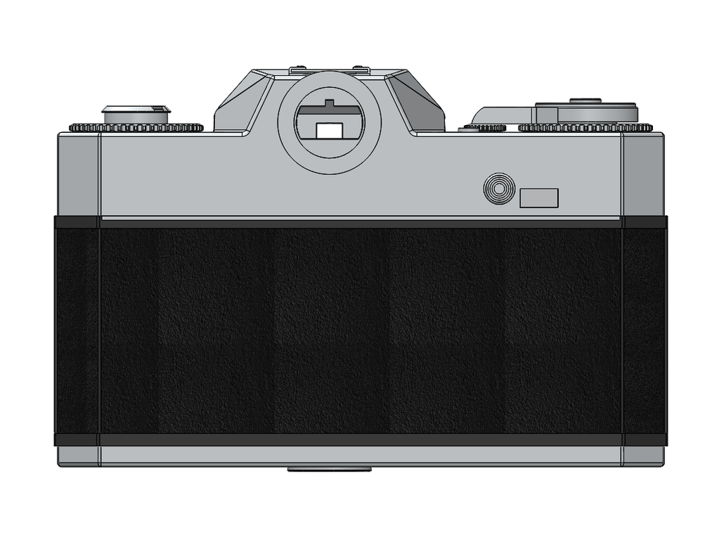 Back View