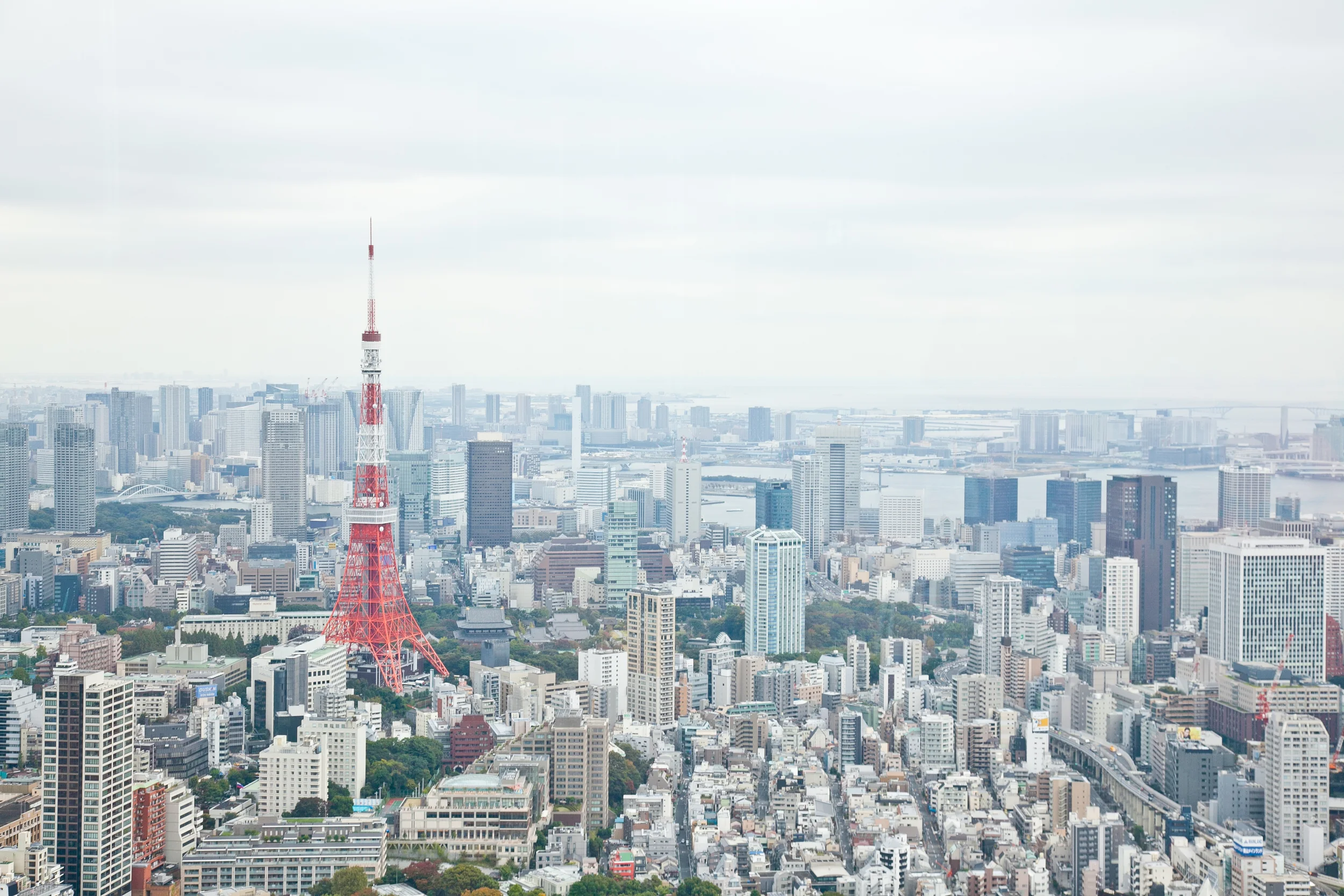 Tokyo Tower (as seen from Tokyo City View)