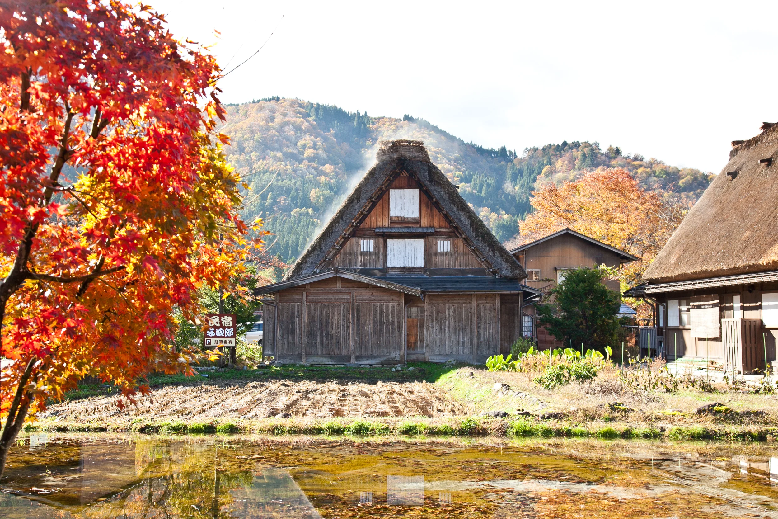 The gassho-style houses all have a signature steep thatched roof, some as old as 250 years! 