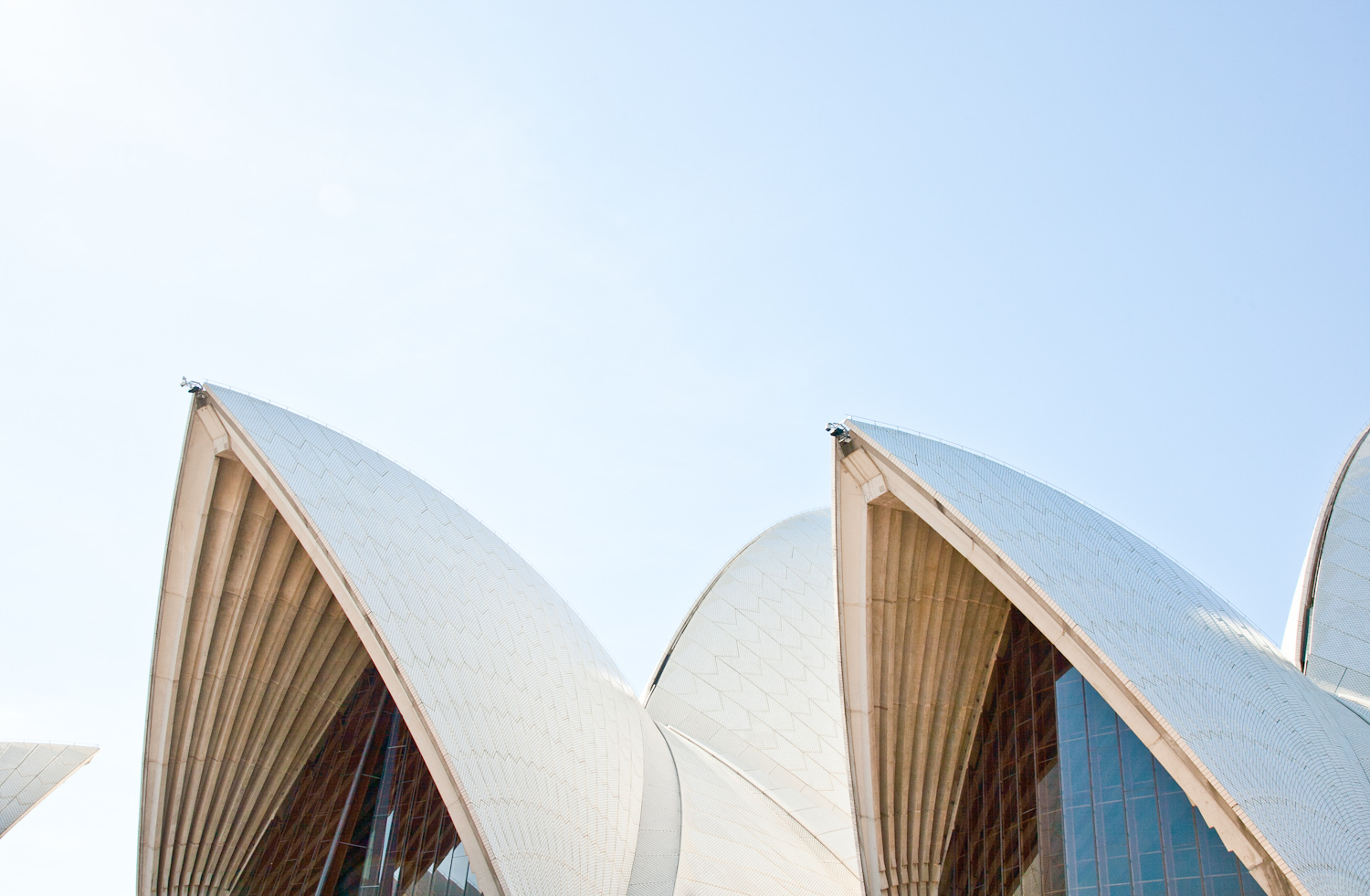 The arches of Sydney Opera House at midday
