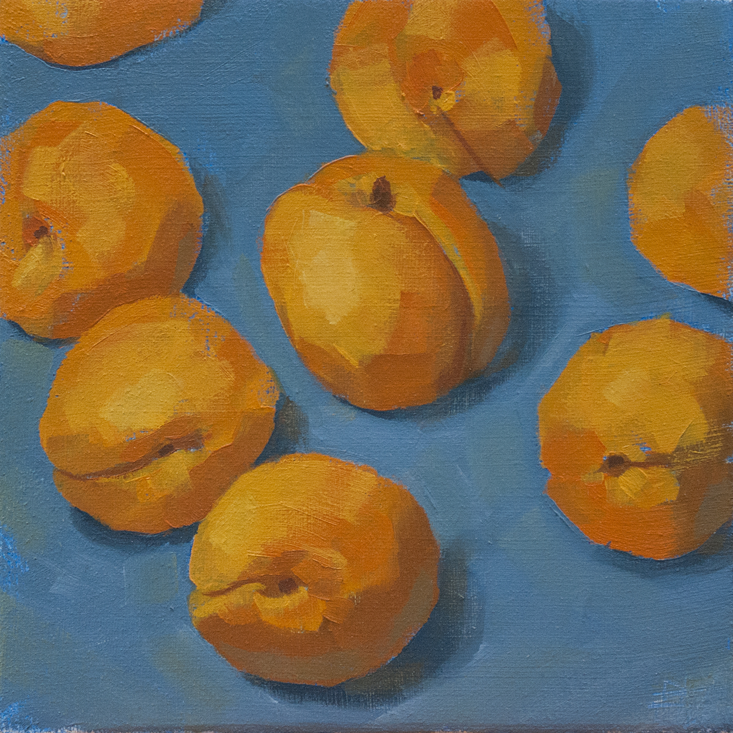 Incubating Apricots by Rob Lunn