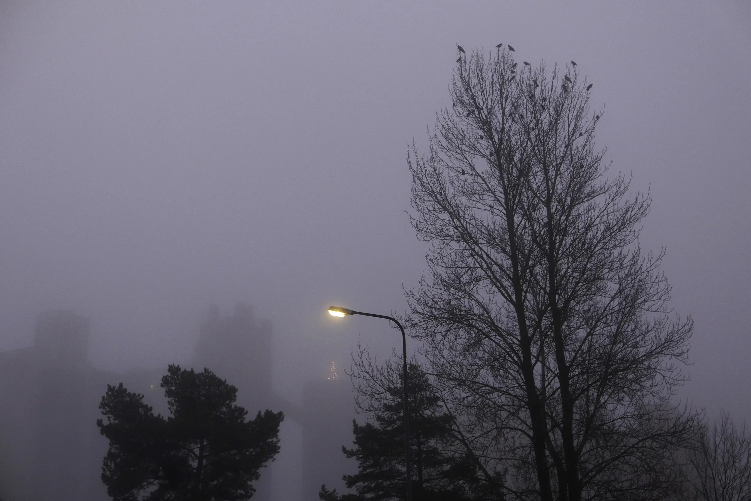 P1090140.jpg