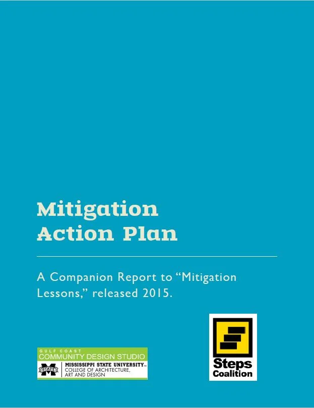 Mitigation Action Plan.JPG