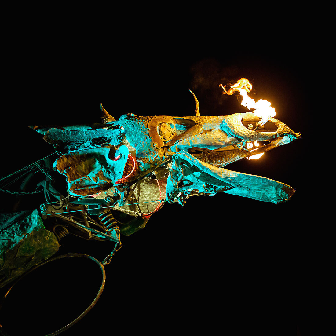 BURNING MAN (Copy)