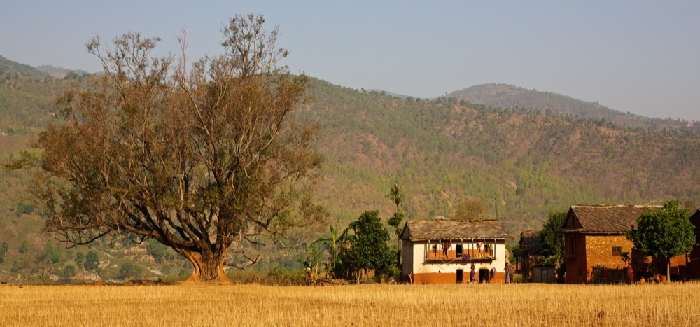 A video message from SunFarmer co-founder Andy Moon!