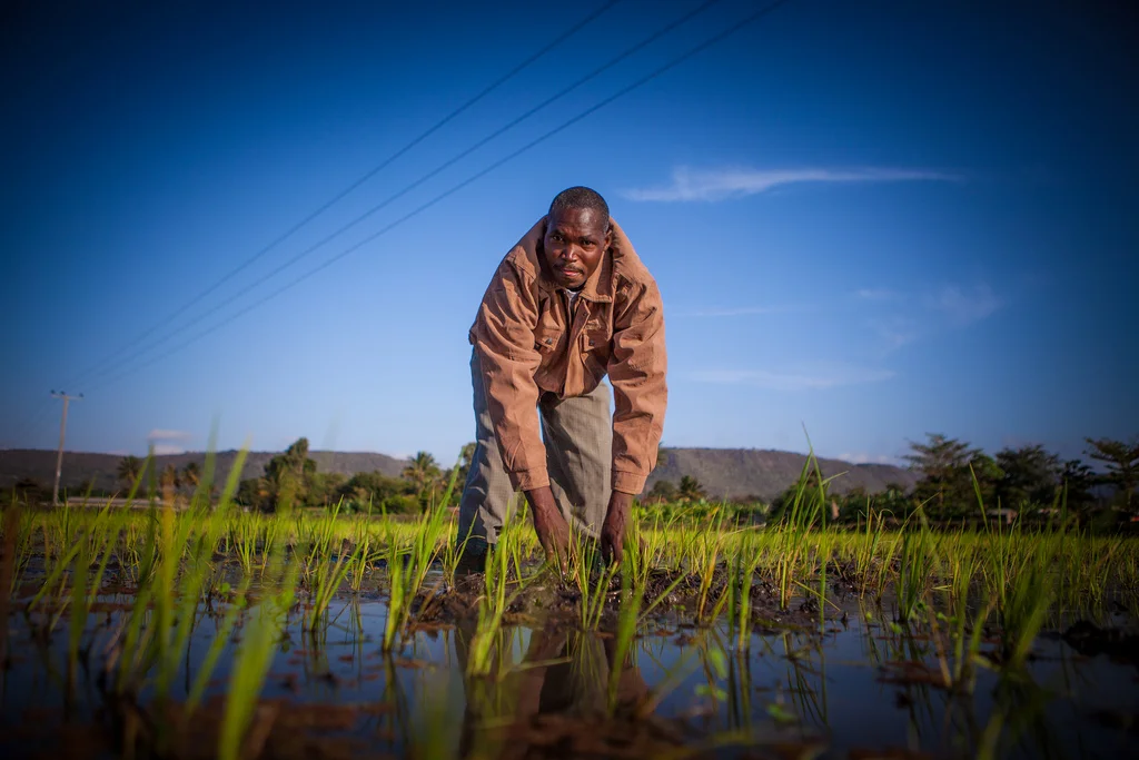 Powering Africa “Beyond the Grid”: What it takes and why it matters for SunFarmer