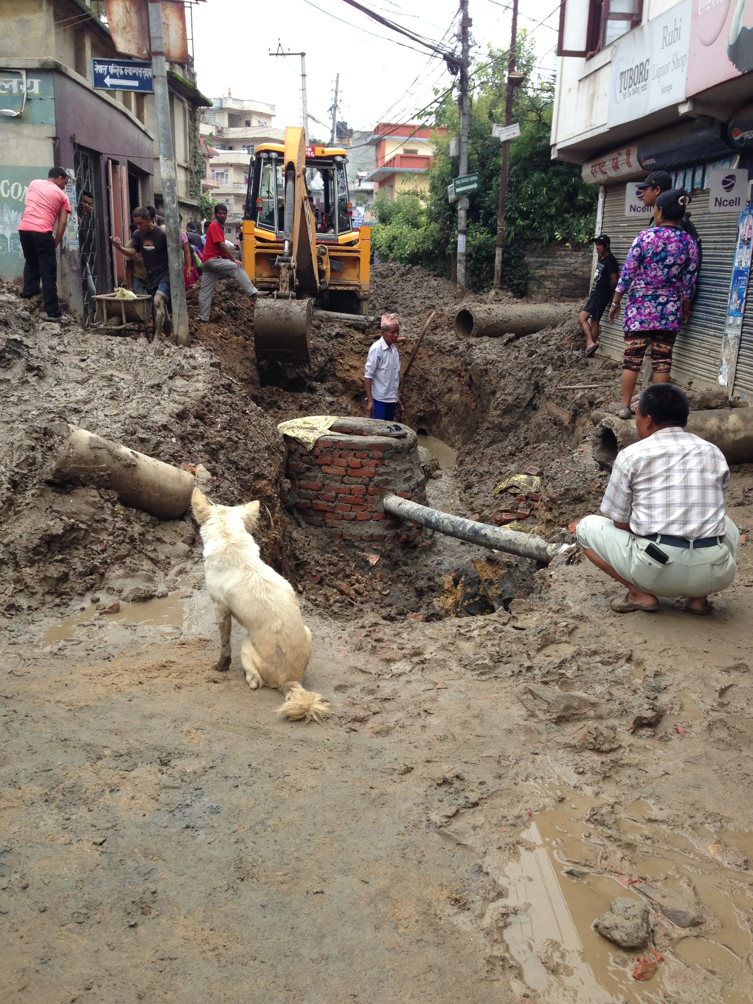 Construction in the mud on our street