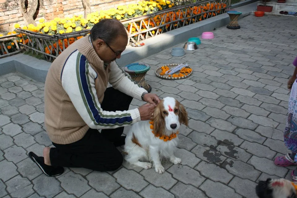 Nepal's Festival of Lights