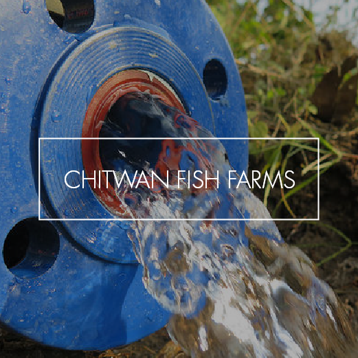 Chitwan Fish Farm