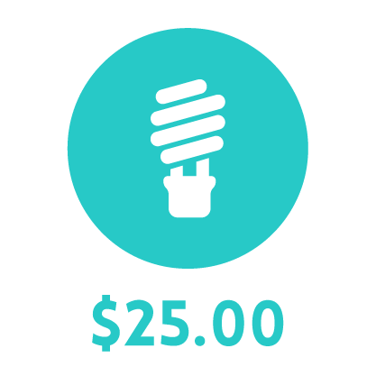 Holiday Gift _25 Light.png