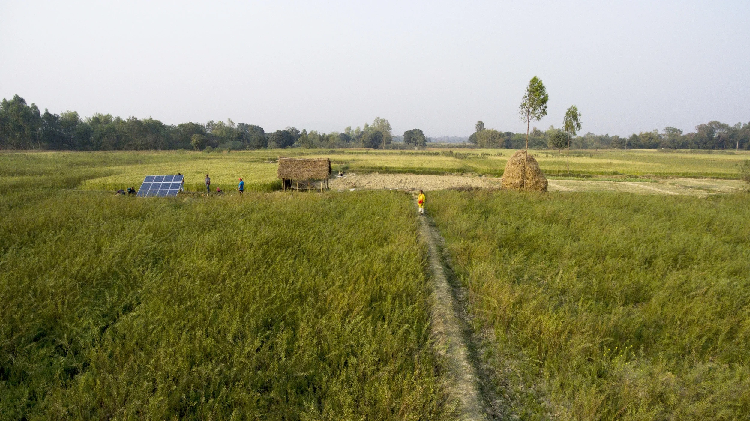 32542453723_9726d6a27f_o copy.jpg