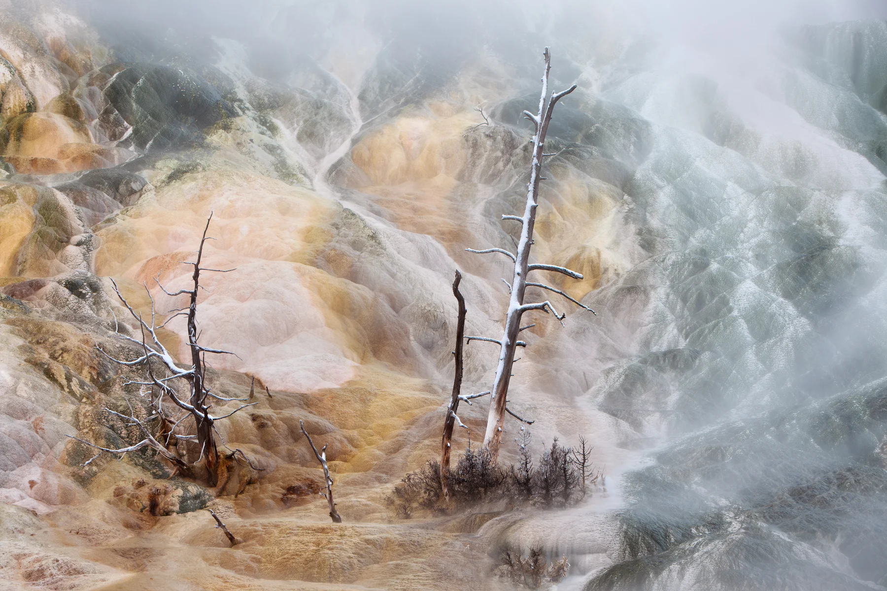 Mist swirls around a geothermal spring at Yellowstone National Park's Mammoth Hot Springs. Image ©Connor Stefanison