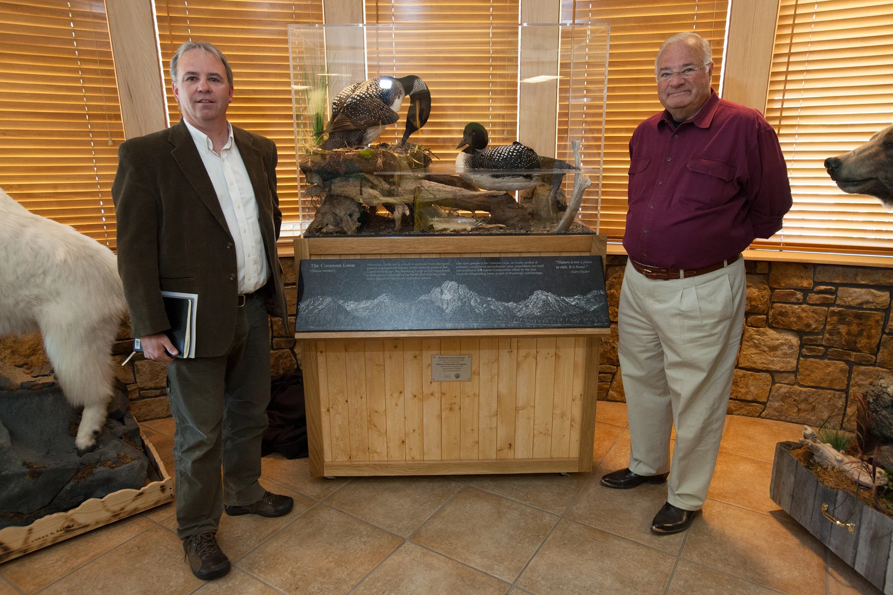 Biodiversity Research Institute director Dave Evers (left) and Joe Ricketts (right) pose beside a Common Loon diorama, donated by Joe Ricketts, to the Wyoming Game and Fish Department regional office in Jackson. Joe Ricketts donated $6.5 million to fund conservation efforts towards the Common Loon. In June 2014, I spent two days in Wyoming photographing these conservation efforts for an Audubon Magazine story. Image ©Connor Stefanison
