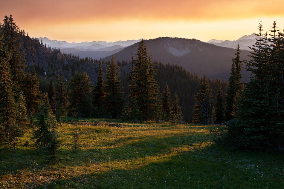 MeadowScape.jpg