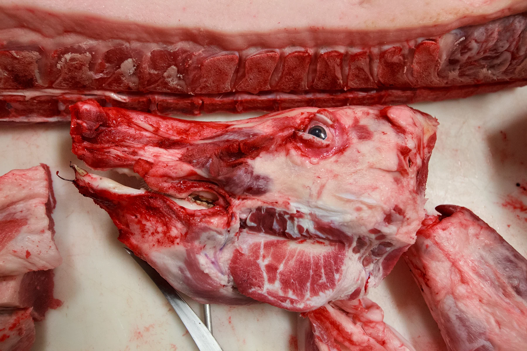 All useable parts are saved on the pig. Even eyeballs, which are sent to local school science classes. Image ©Connor Stefanison