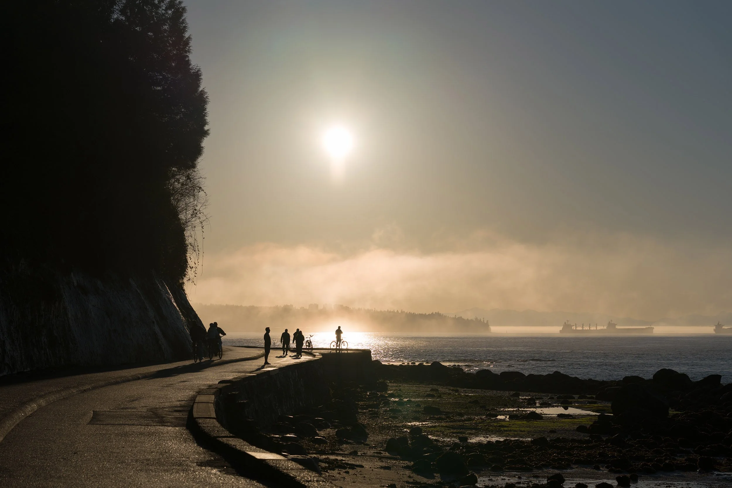 Stanley Park Seawall on a sunny February day. Sample image from a Sony A7V and Sony FE 85mm f/1.4 GM II.