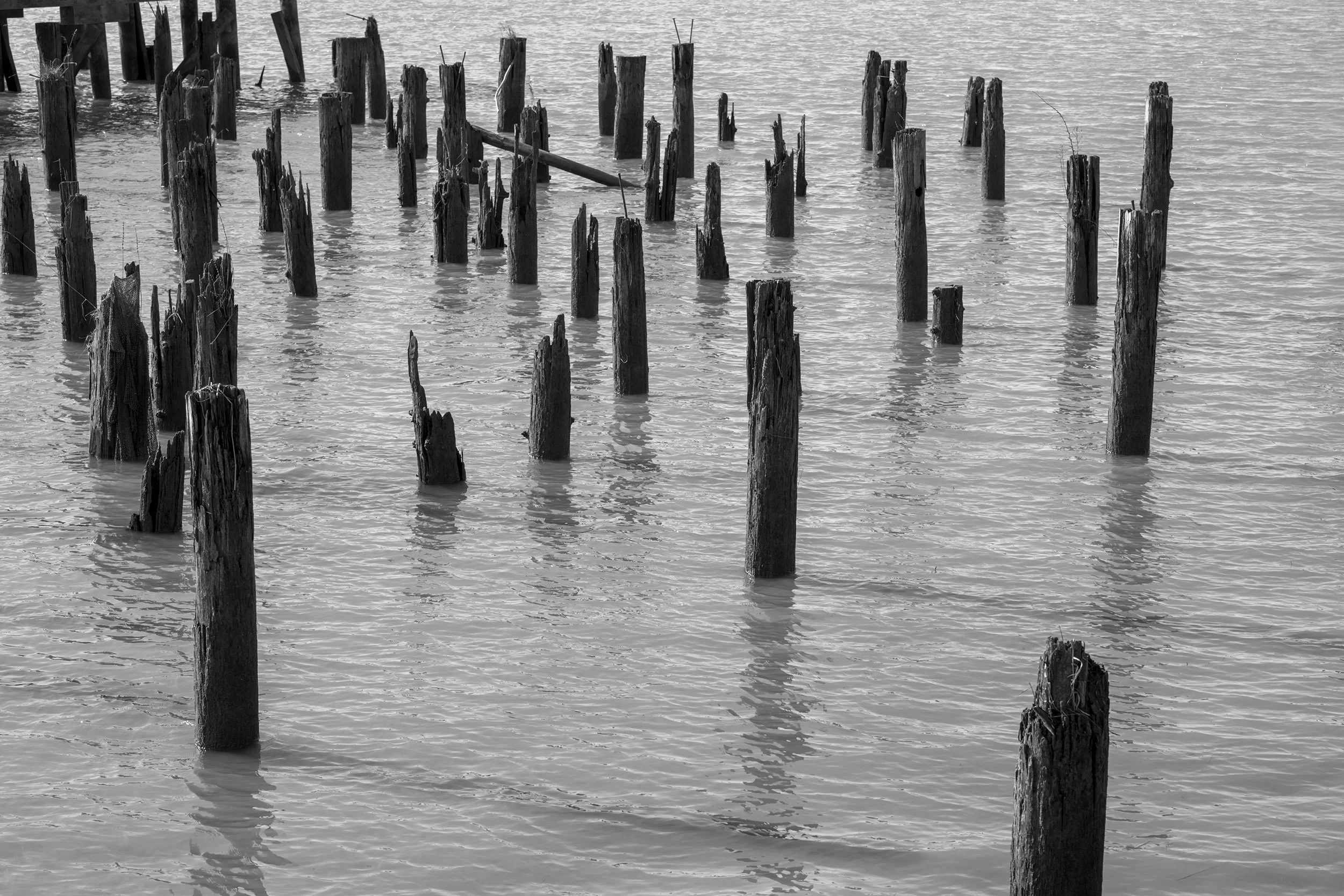 Steveston Harbour. Sample image from a Sony A7V and Sony FE 85mm f/1.4 GM II
