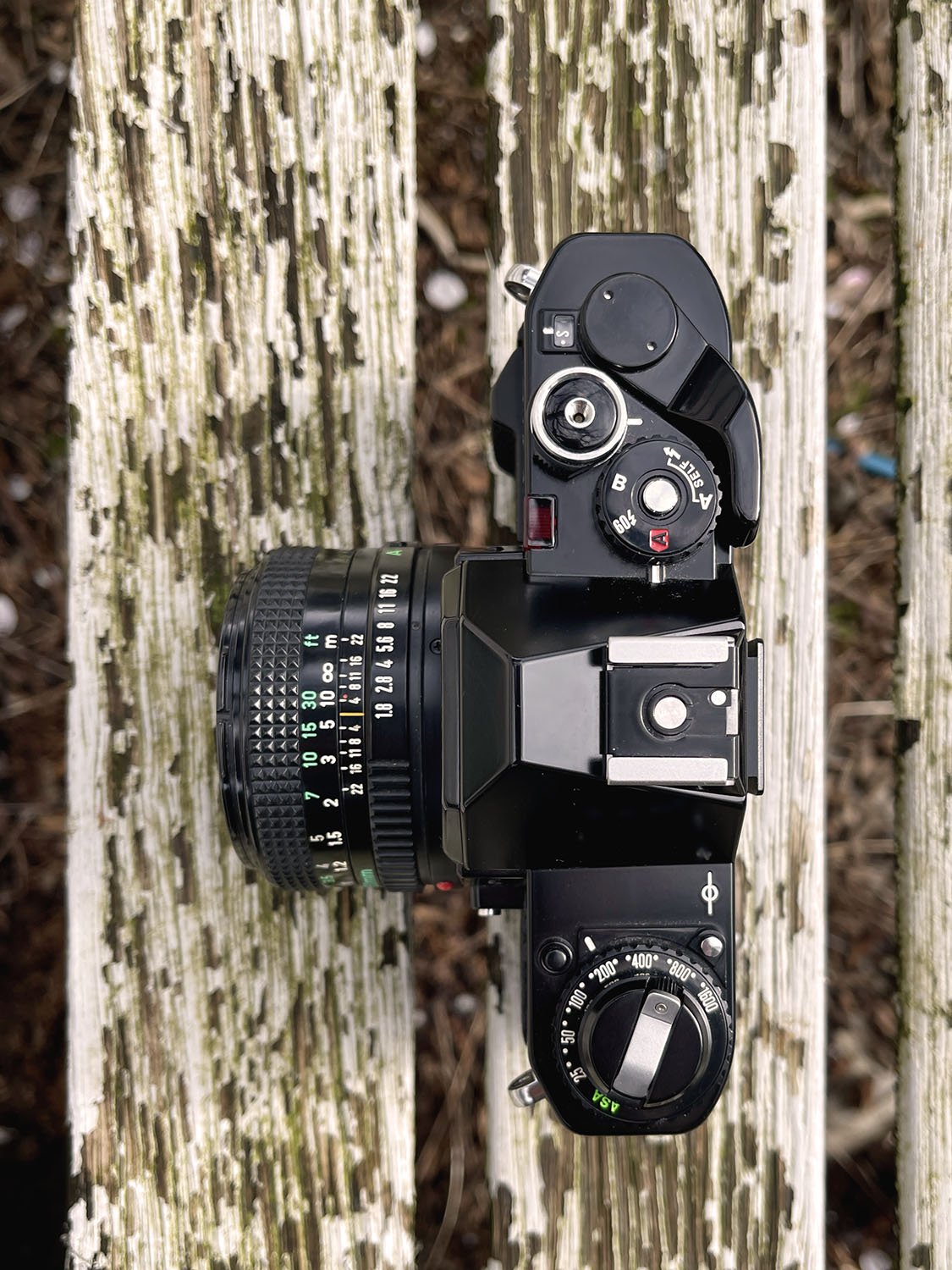 Canon FD 50mm f/1.8 Review