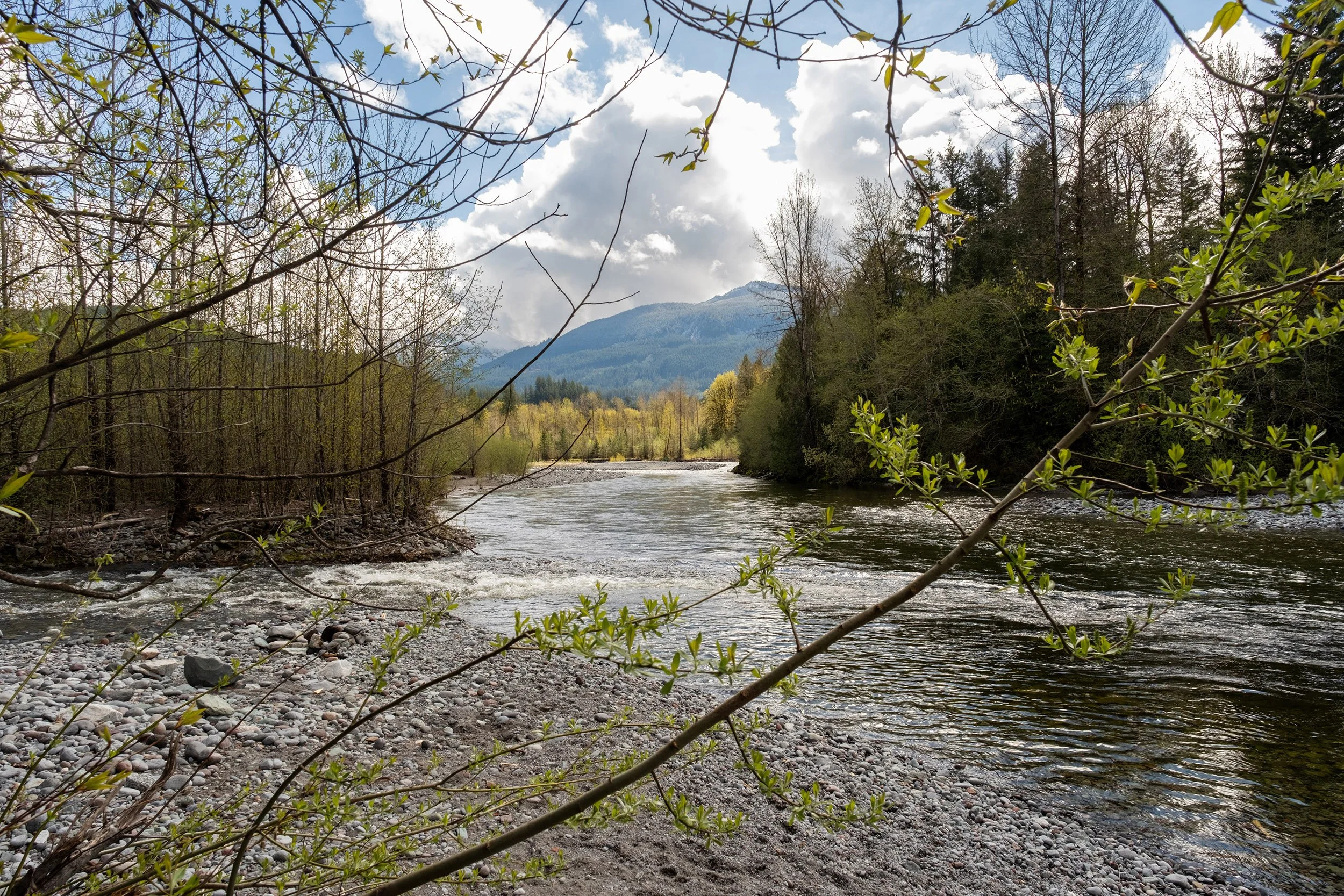 Mamquam River, Squamish on nice April day. Sample image from a Sigma 15mm f/1.4 DC Contemporary and Fujifilm X-E5.