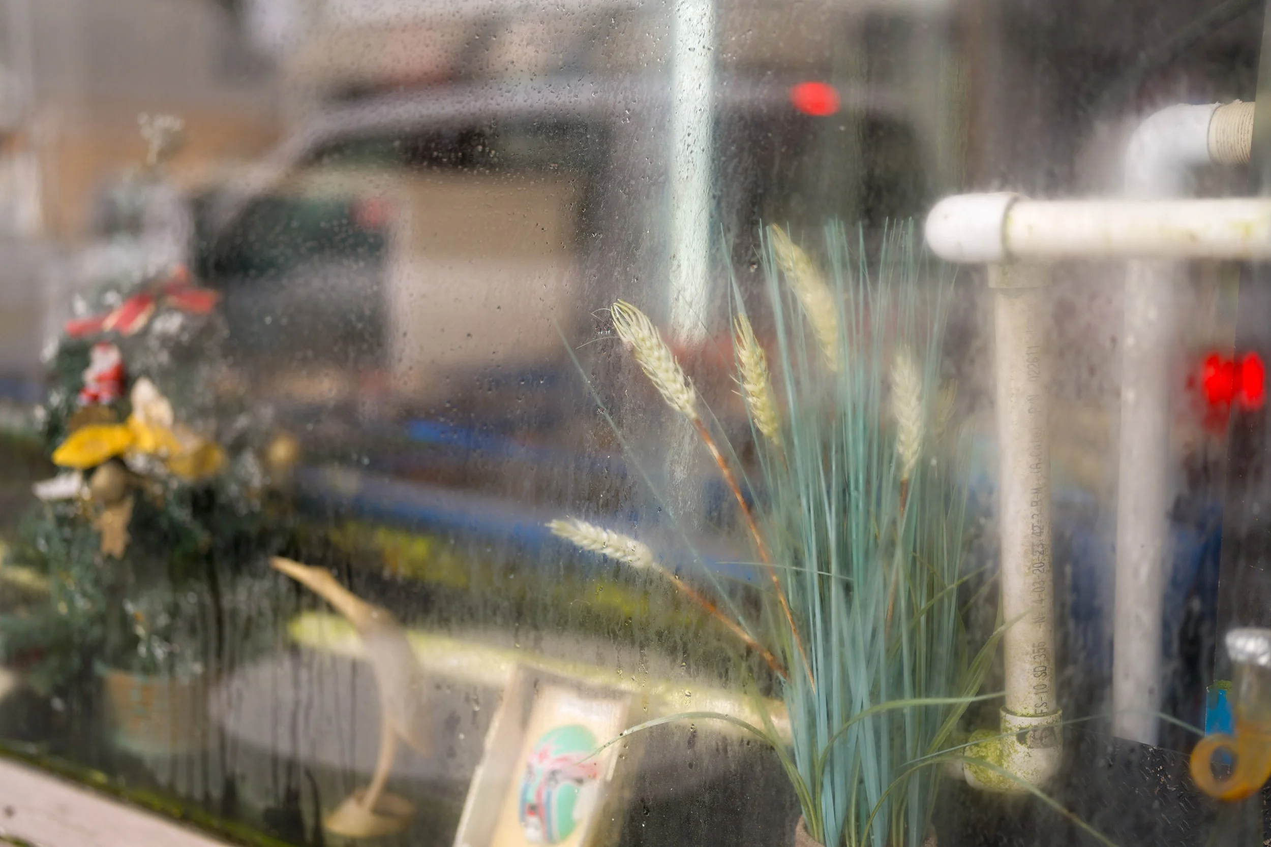 A window display in Steveston, BC. Sample image from a Sony A7V and Sony FE 50mm f/1.4 GM.