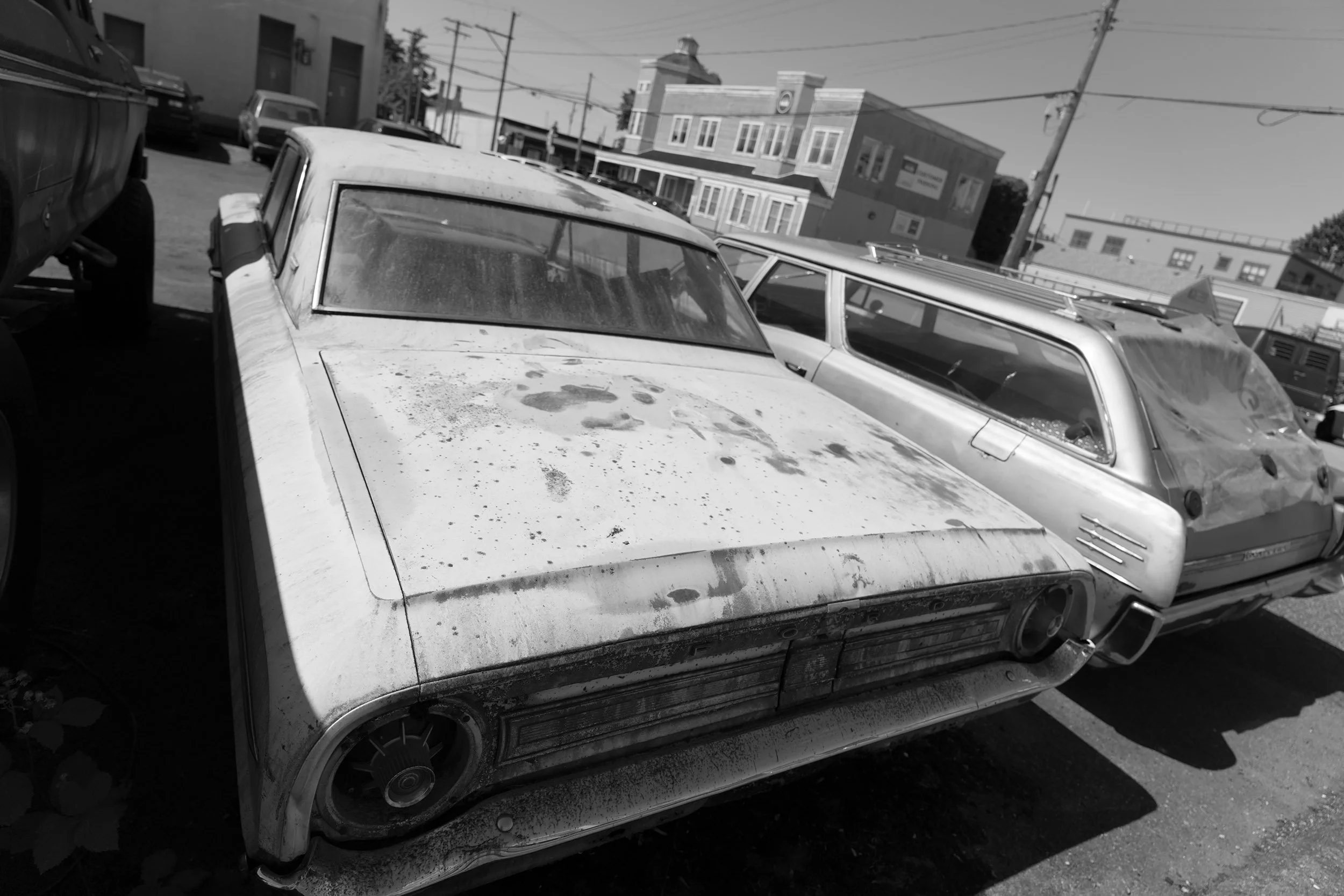 Vintage car lot, Steveston. Sample image from a Sony FE 20-70mm f/4 G and Sony A7 V.