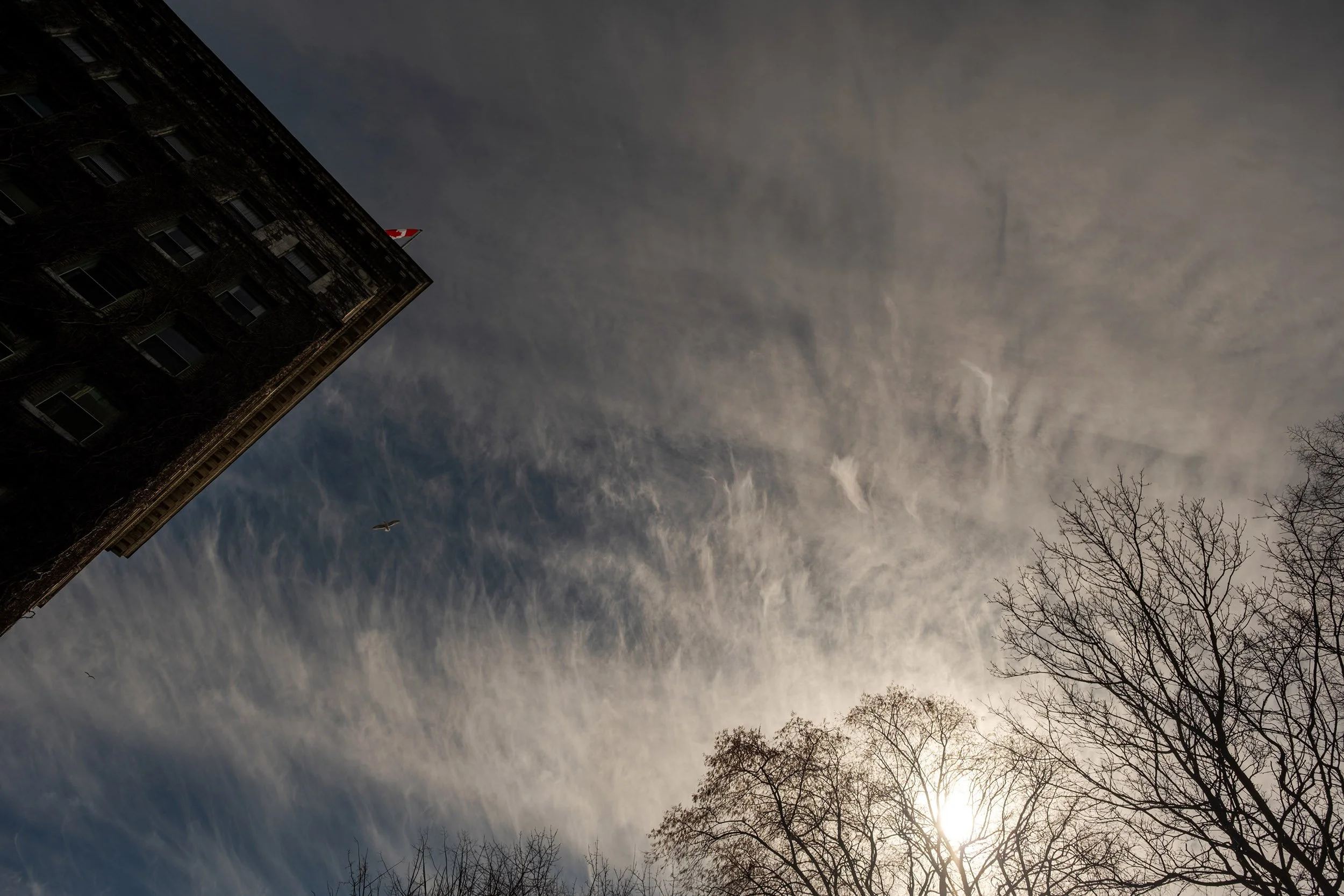 Skies over Vancouver West End, March 2026