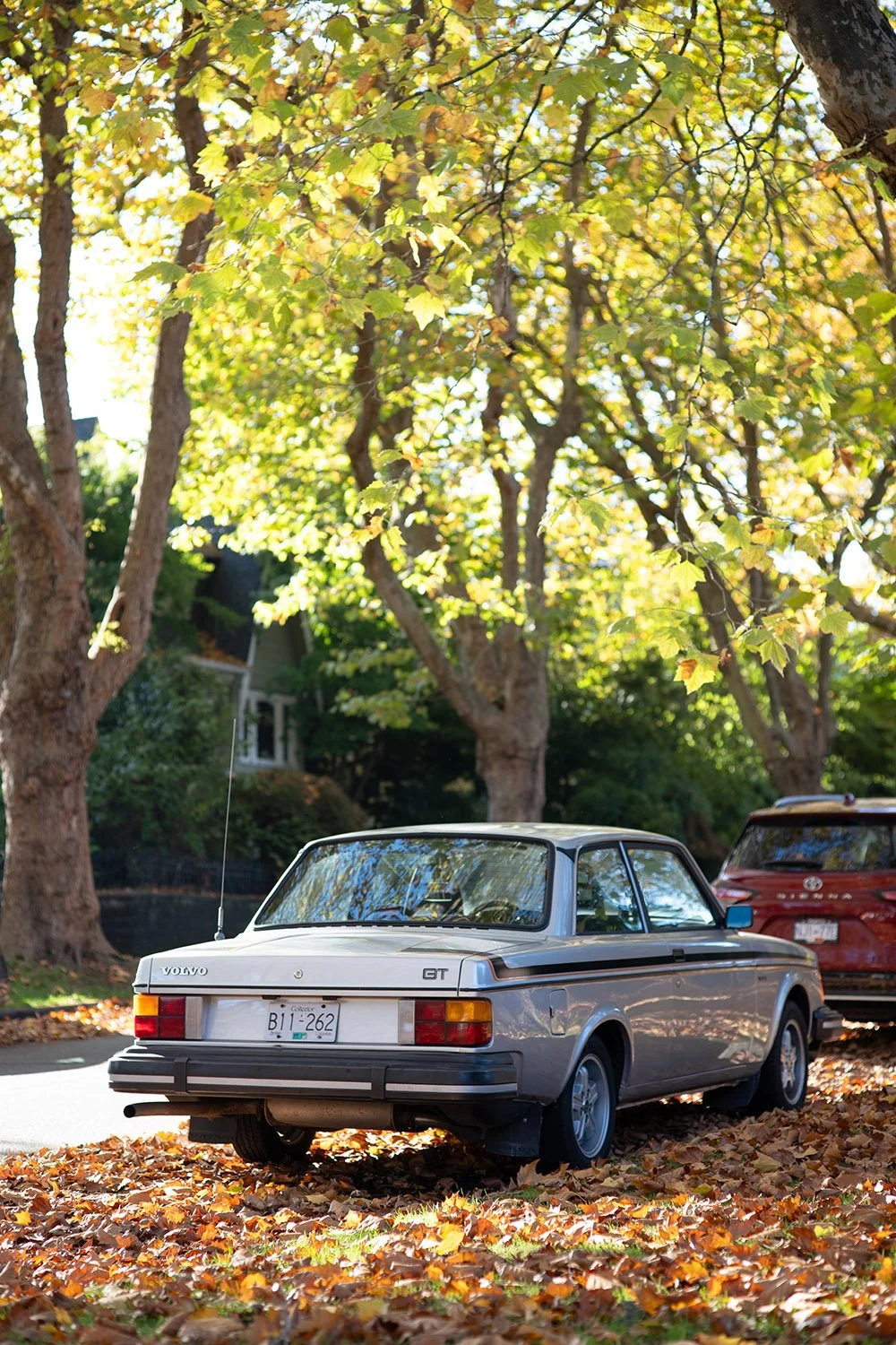 A classic Volvo GT parked amidst fall leaves in Vancouver. Sample image from a Nikon Zf and Voigtländer Ultron 75mm f/1.9 MC.