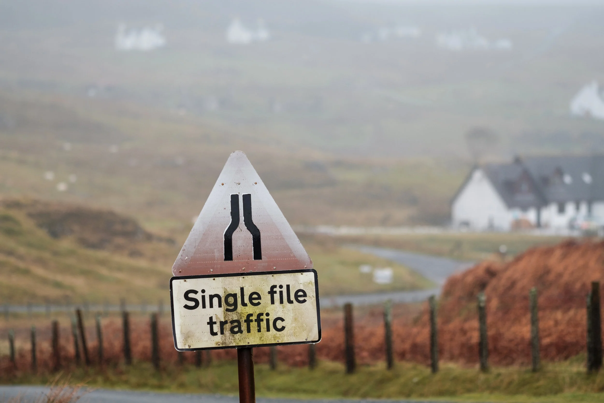 Single file traffic on Isle of Skye in Scotland. Loved the greens, loved the rain, loved Scotland FUJIFILM X-Pro2, XF 90mm f/2 R WR