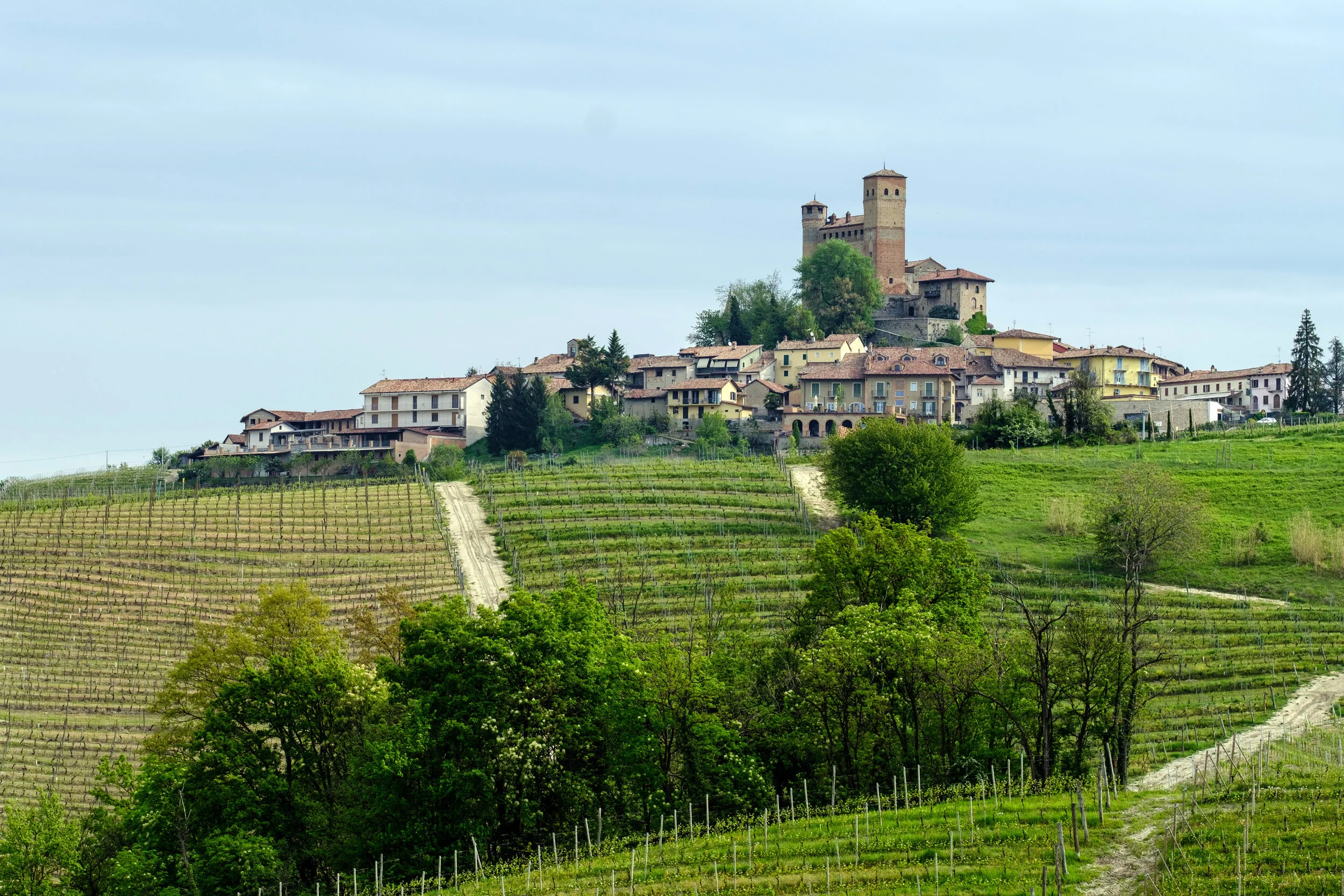 We sampled the wine, had pasta and heard the church choir in the quaint village of Serralunga d'Alba in the Barolo wine district in Italy . FUJIFILM X-Pro2, XF 90mm f/2 R WR