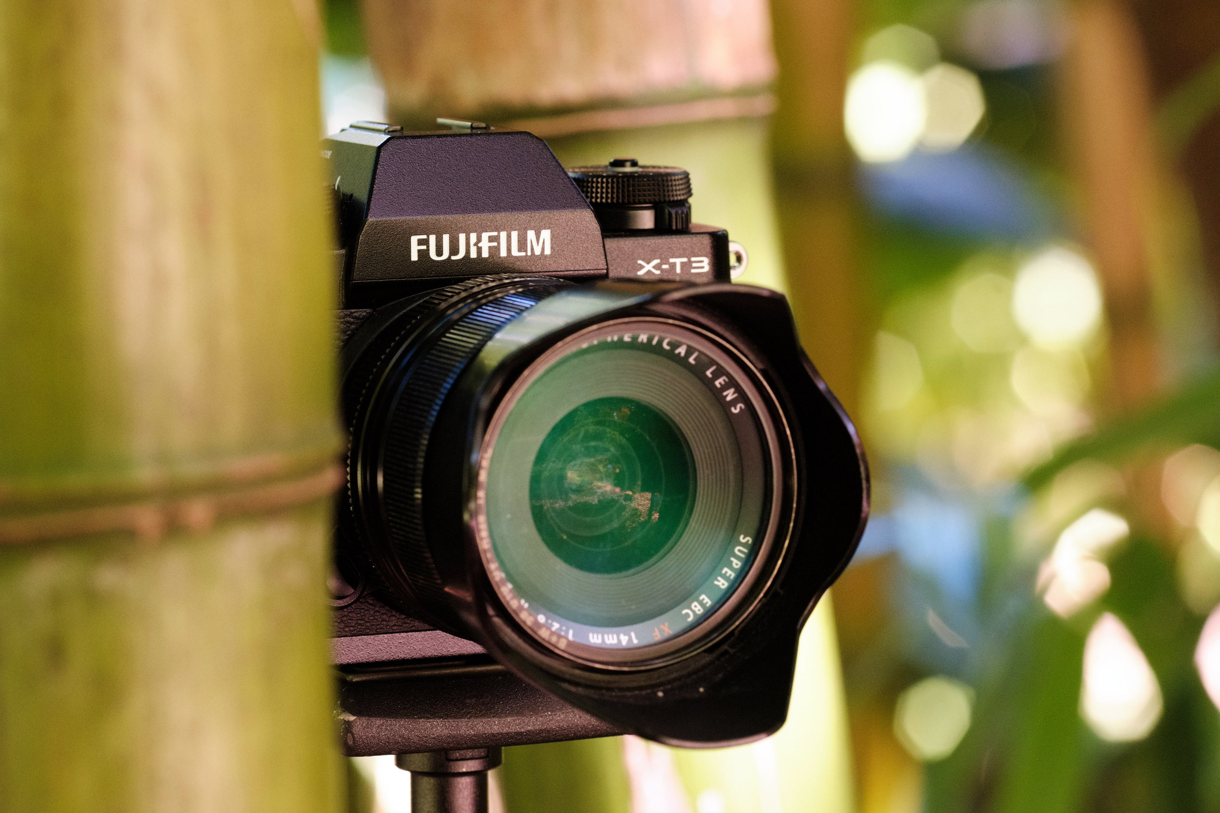 Fujifilm X T3 Review 5050 Travelog