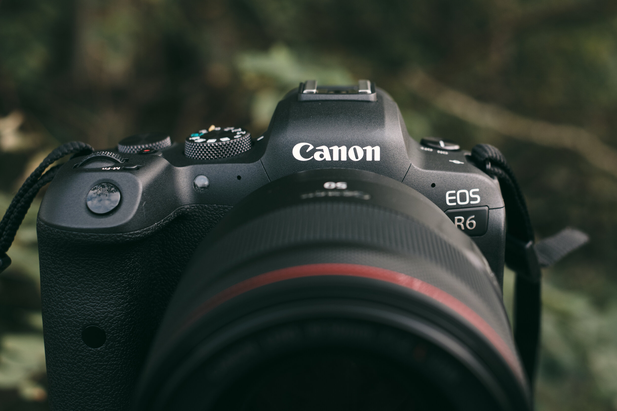 Canon EOS R6 - First Impressions