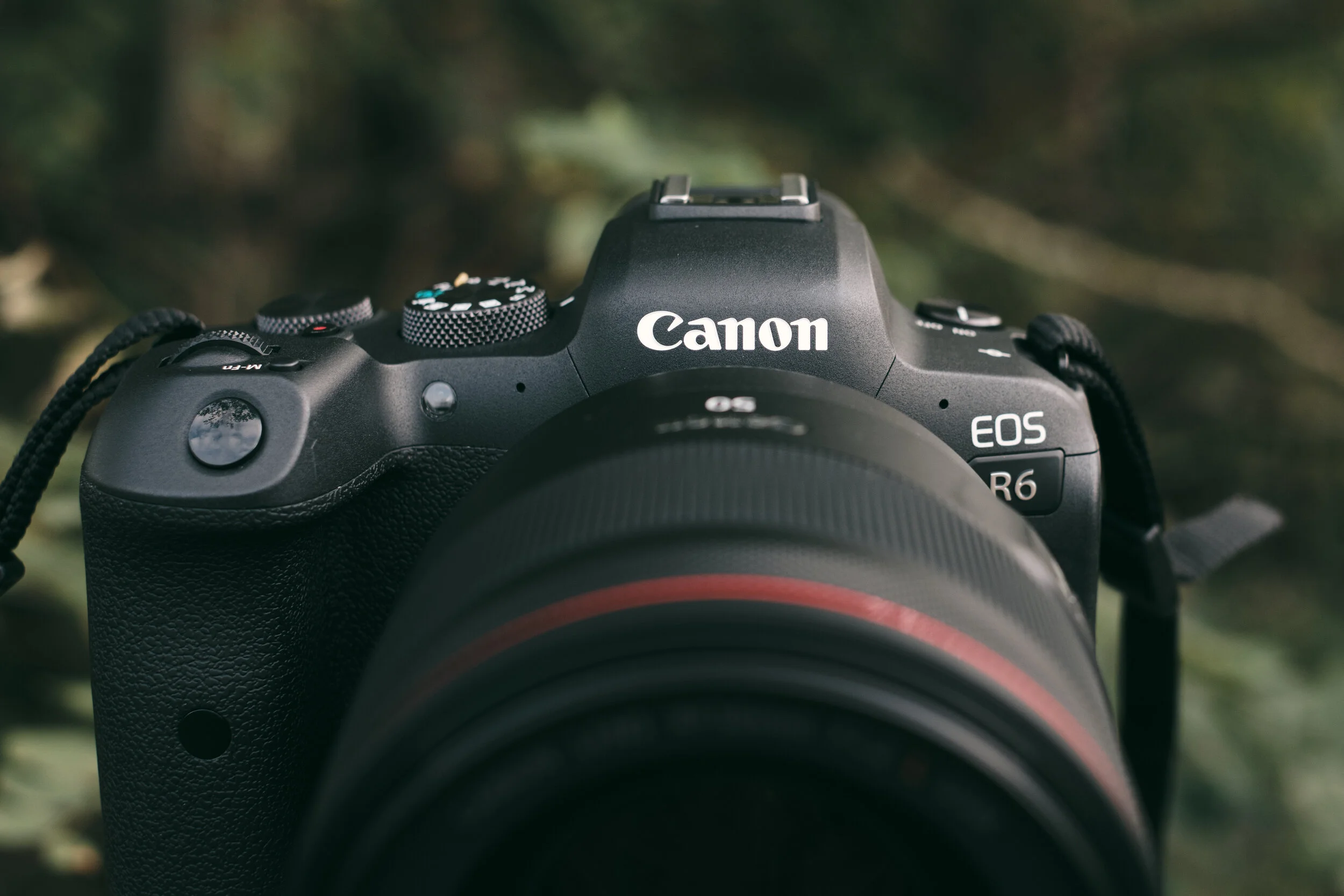 Canon EOS R6 - First Impressions | 5050 Travelog