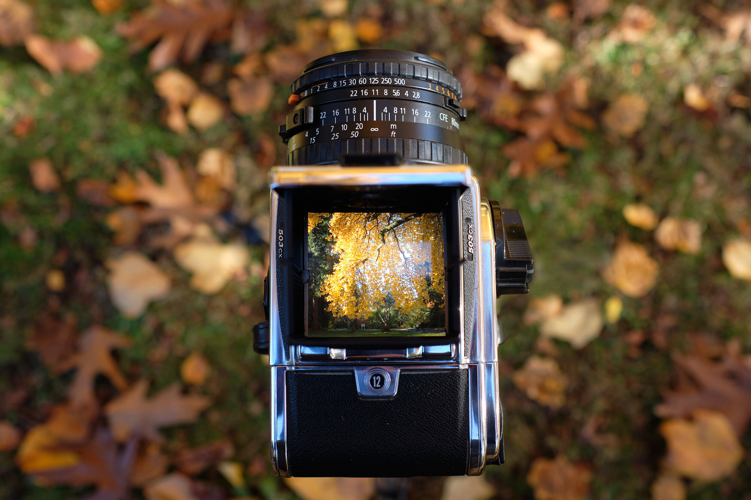 Hasselblad Carl Zeiss Planar 80mm f/2.8 CFE — Fujifilm X Series
