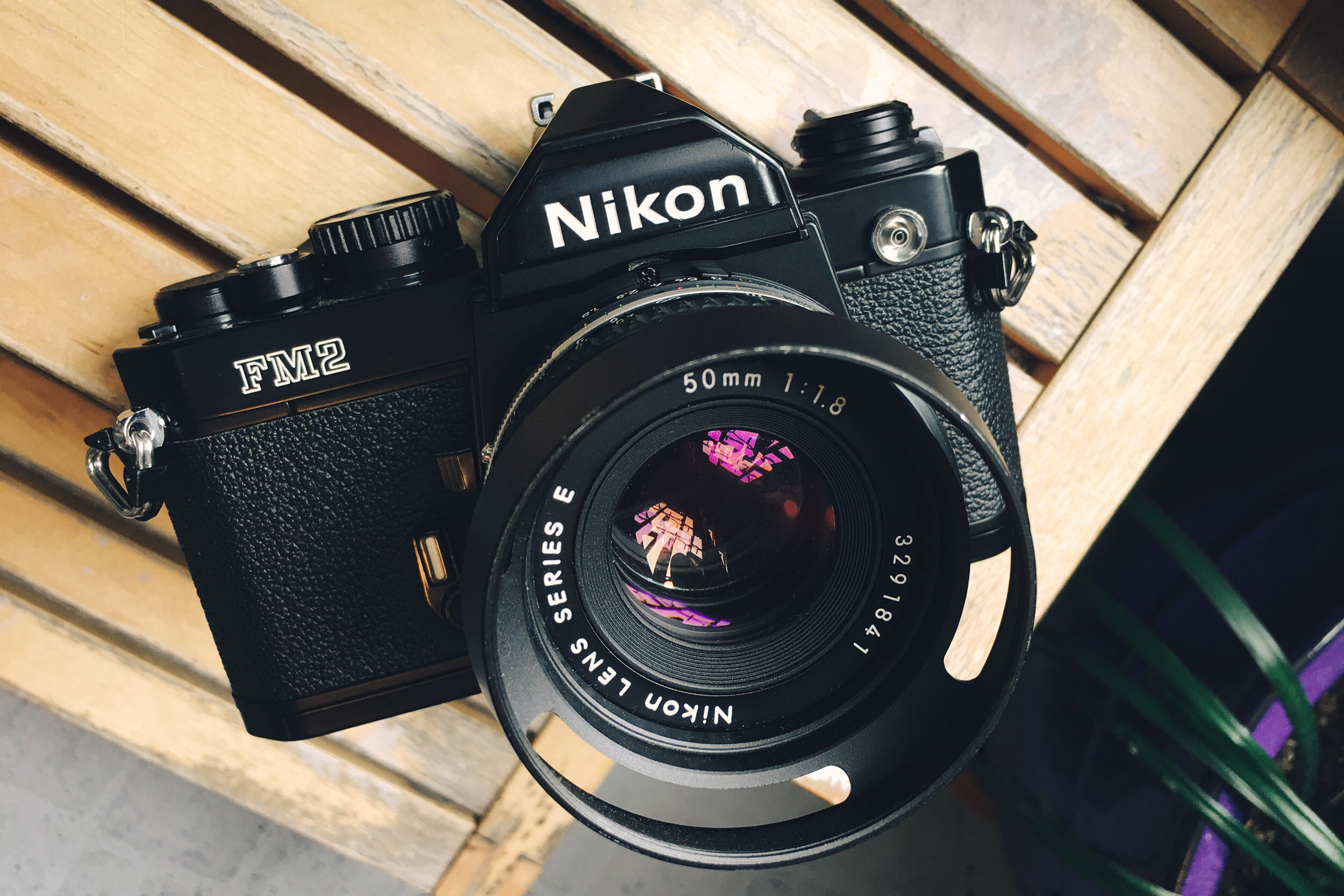 カメラ フィルムカメラ Nikon FM2n - First Roll | 5050 Travelog