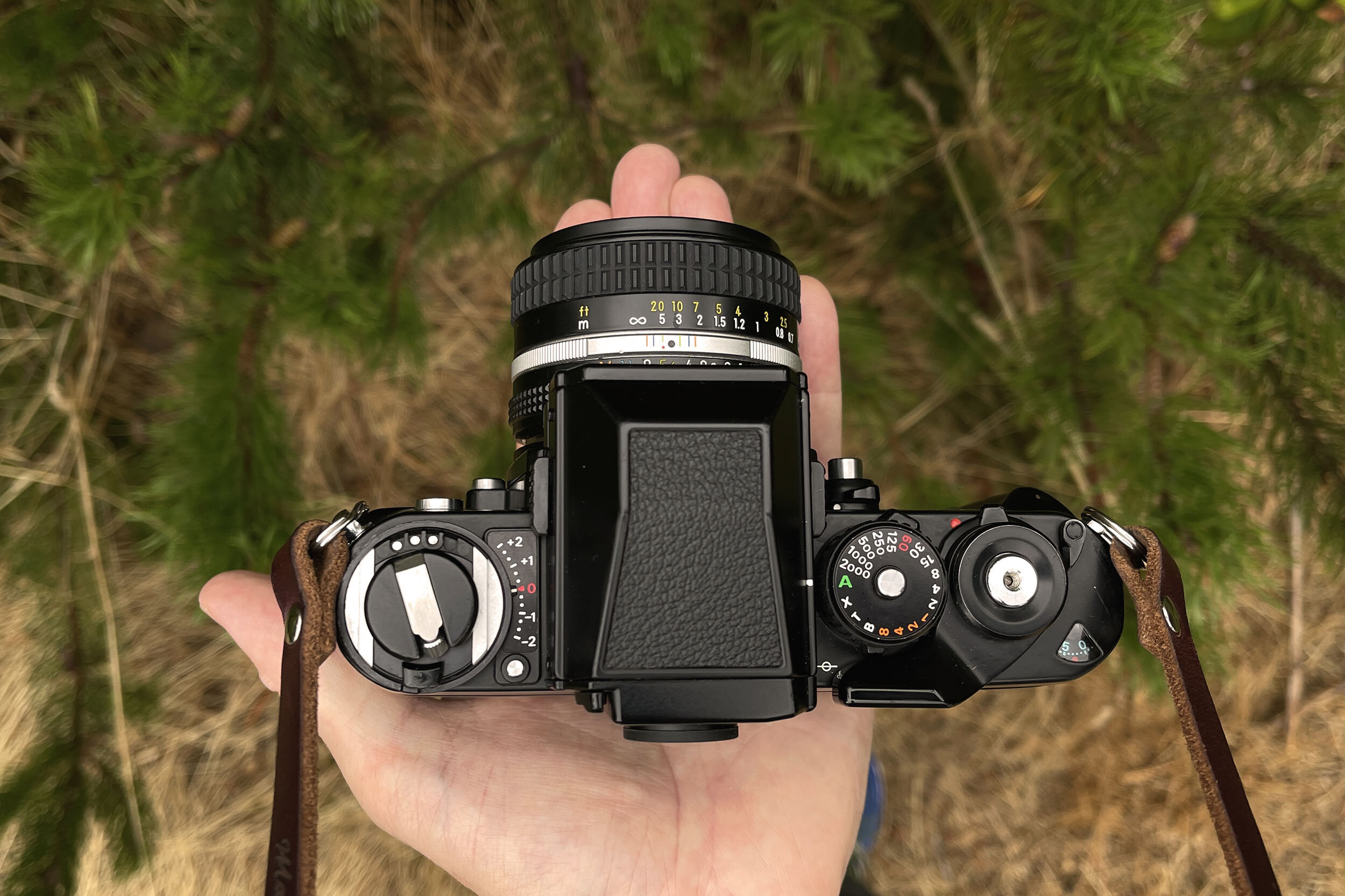 Nikon F3 Review | 5050 Travelog