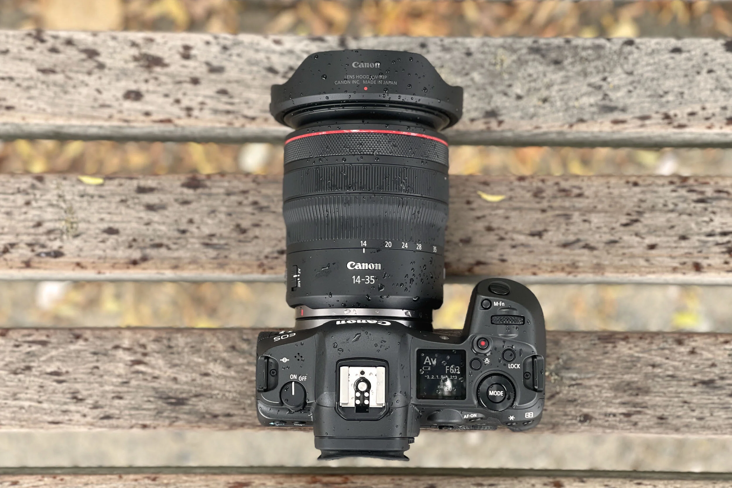 Canon RF Lenses for the EOS R5 | 5050 Travelog