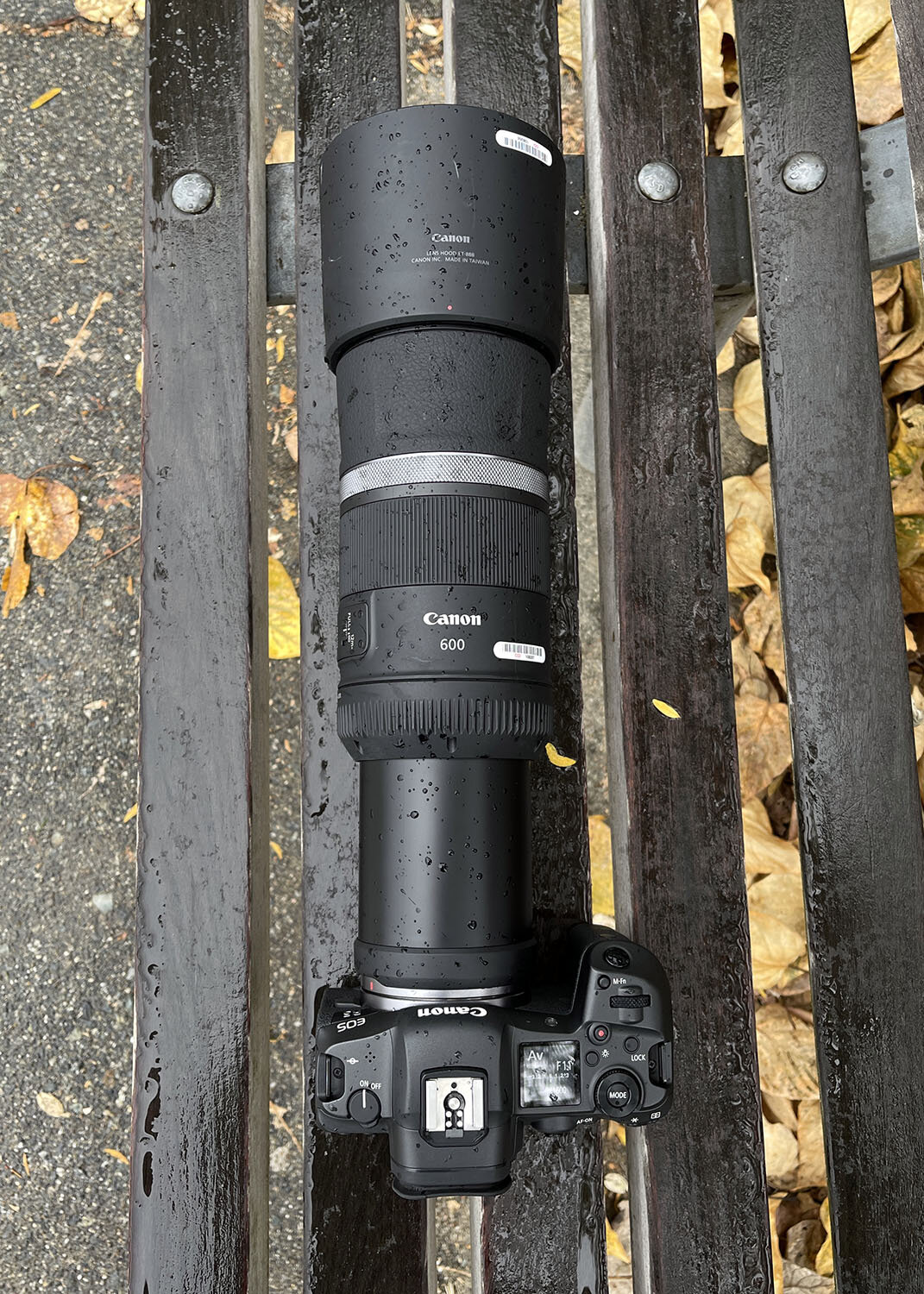 Altijd vaak gesponsord Canon RF Lenses for the EOS R5 | 5050 Travelog